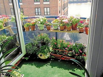 Lựa chọn và bố trí cây xanh trồng ngoài lan can nhà phố tối ưu