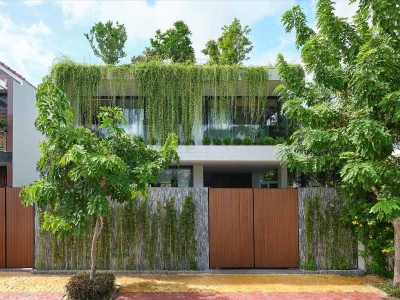 Tuyển Chọn Cây Xanh Ngoại Thất Nhà Mới: Hướng Dẫn Toàn Diện Từ A đến Z