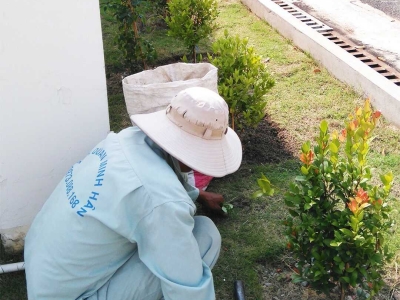Gợi ý địa chỉ chuyên nhận chăm sóc cắt tỉa cây xanh sân vườn