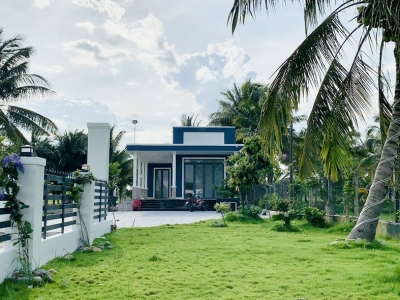 Dịch vụ chăm sóc cây cảnh tại nhà hiệu quả uy tín