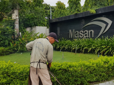 Đơn vị chuyên nhận chăm sóc cây xanh định kỳ giá rẻ