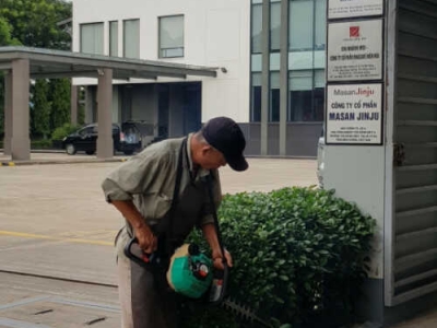 Mách bạn nơi chuyên chăm sóc cây xanh chất lượng đáng tin cậy