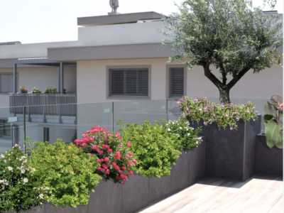 Cách phối chậu đá mài tròn, vuông, lục giác để tạo bố cục sân vườn hài hòa, dễ chăm sóc