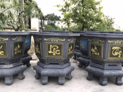 Cung Cấp Chậu Kiểng Giá Sỉ: Giải Pháp Tối Ưu Cho Doanh Nghiệp Cảnh Quan Và Vườn Ươm