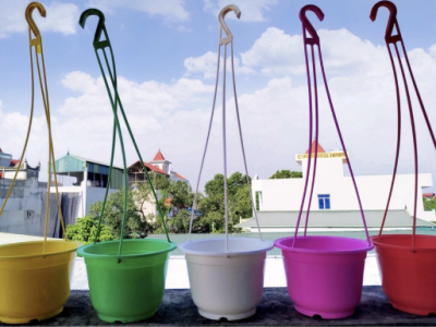 Chậu Nhựa Treo Giá Rẻ: Giải Pháp Trang Trí Vườn Tối Ưu
