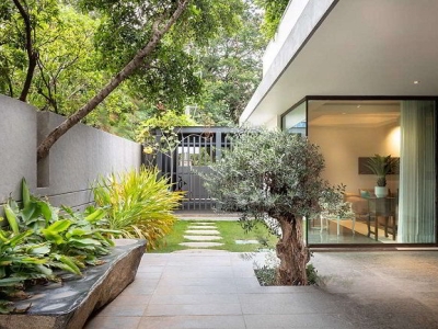 Tận Hưởng Vẻ Đẹp Cây Cảnh Trong Không Gian Sống