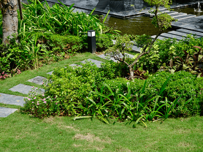 Thiết kế vườn nhà nhỏ: 7 nguyên tắc giúp sân trước luôn xanh mà không rối mắt