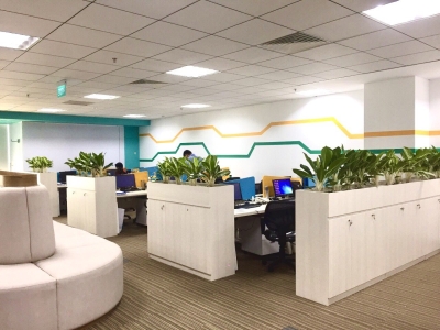 Chào đón xu hướng thuê cây xanh văn phòng tạo mảng xanh mát mắt