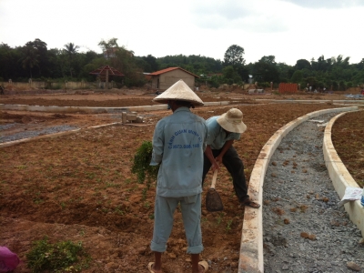 Nên thuê dịch vụ cắt cỏ thảm phát hoang tại đơn vị nào?