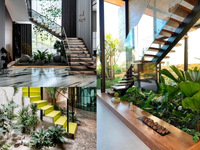 Hướng dẫn lựa chọn và chăm sóc cây xanh cho nhà phố tối ưu không gian sống