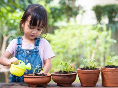 Mục tiêu và lợi ích của việc dạy trẻ trồng cây xanh