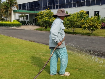 Tổng hợp những hạng mục công việc khi chăm sóc sân vườn