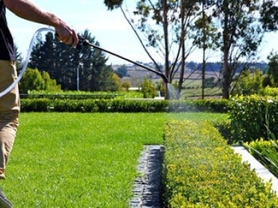 Cẩm nang quý bảo dưỡng cảnh quan luôn tươi đẹp