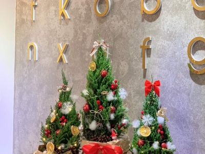 TRANG TRÍ NOEL 2023 BẰNG CÂY SƠN TÙNG