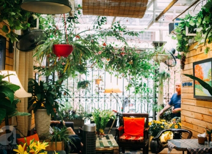 Cập Nhật Ngay Địa Chỉ Cung Cấp Cây Xanh Decor Quán Cafe Đẹp