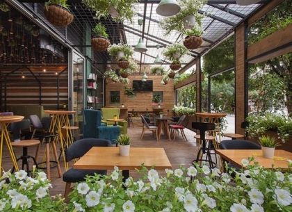 Shop Bán Cây Cảnh Cho Quán Cafe Uy Tín