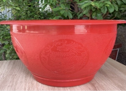 Chậu Nhựa Trồng Cây Cỡ Lớn: Hướng Dẫn Toàn Diện Để Lựa Chọn & Sử Dụng