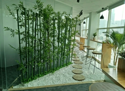 Bật Mí Đơn Vị Chuyên Cung Cấp Chậu Trúc Trang Trí Quán Cafe