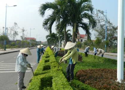 Dịch vụ chăm sóc cây xanh theo yêu cầu, uy tín chất lượng