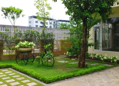 Hướng Dẫn Toàn Diện Về Trồng Cây Quanh Sân Nhà Hiệu Quả và Hợp Phong Thủy