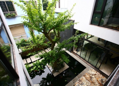 Cây Xanh Cho Nhà Mới Tại TPHCM: Hướng Dẫn Chọn Cây Hợp Khí Hậu