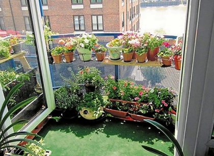 Lựa chọn và bố trí cây xanh trồng ngoài lan can nhà phố tối ưu