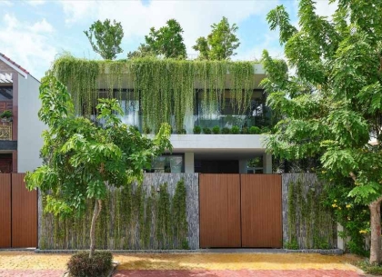 Tuyển Chọn Cây Xanh Ngoại Thất Nhà Mới: Hướng Dẫn Toàn Diện Từ A đến Z