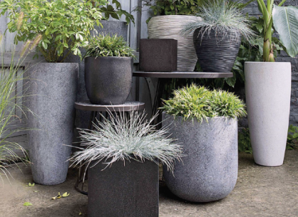 Mua Chậu Trồng Cây Ở Đâu? Bí Quyết Tìm Địa Chỉ Uy Tín & Chất Lượng