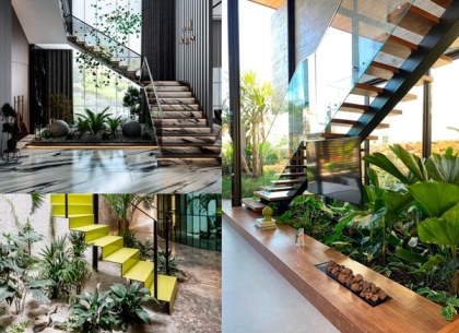 Hướng dẫn lựa chọn và chăm sóc cây xanh cho nhà phố tối ưu không gian sống