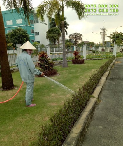 chăm sóc cây xanh nhà máy xí nghiệp trọn gói