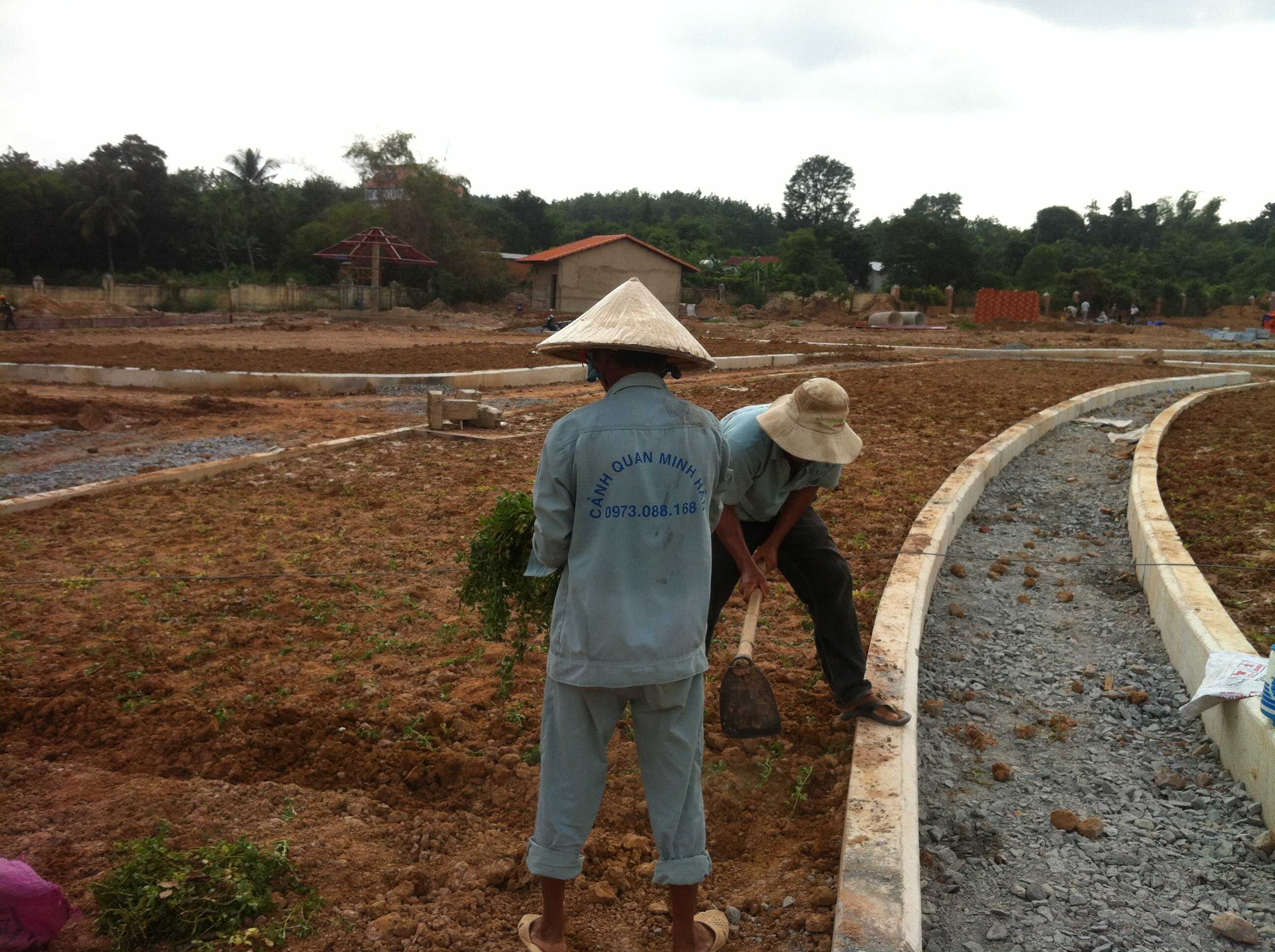 Chuyên chăm sóc cây cảnh tại nhà giá tốt