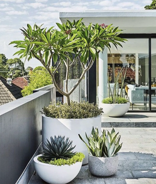 Chậu Composite vát góc & Đá mài tròn trụ