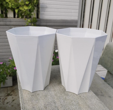 chau-nhua-trong-cay-co-lon-1