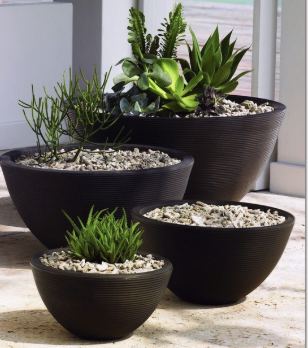 chau-kieng-trong-cay-dep-tphcm-1