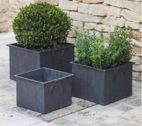 Những lỗi bố trí chậu vuông khiến sân vườn mất thẩm mỹ