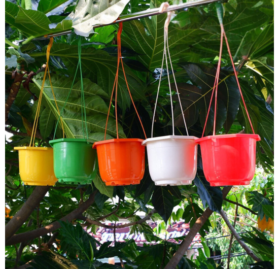 chau-nhua-treo-gia-re-1