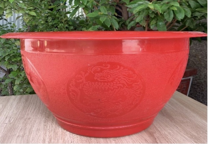 chau-nhua-trong-cay-co-lon-3