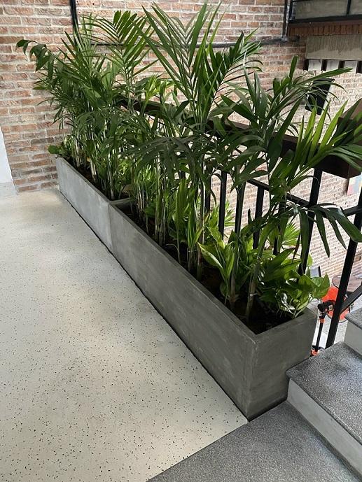 chau-da-hinh-chu-nhat