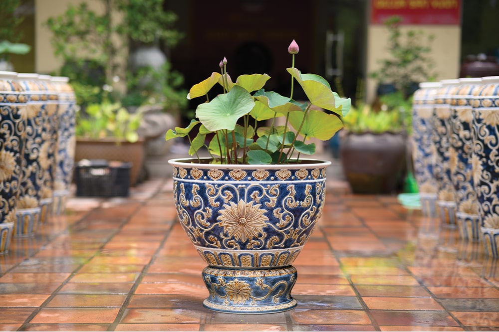 chau-kieng-trong-cay-dep-tphcm-3