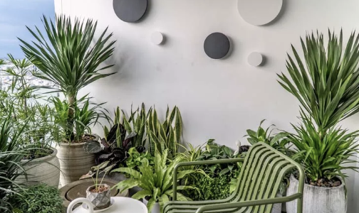 cay-ban-cong-nha-pho-nen-trong