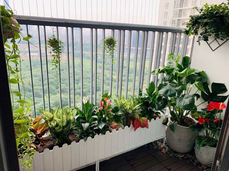 cay-ban-cong-nha-pho-nen-trong