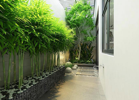 cach-thiet-ke-canh-quan-nha-pho-nho-1