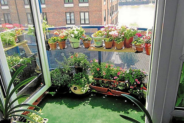 cay-xanh-trong-ngoai-lan-can-nha-pho-2