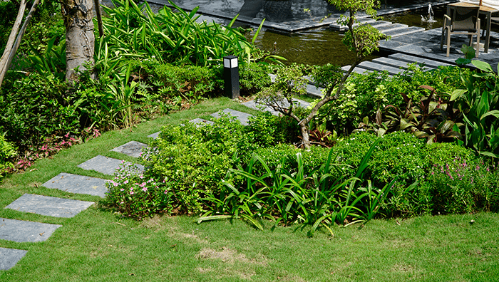 thiet-ke-vuon-nha-nho-7-nguyen-tac-giup-san-truoc-luon-xanh-ma-khong-roi-mat