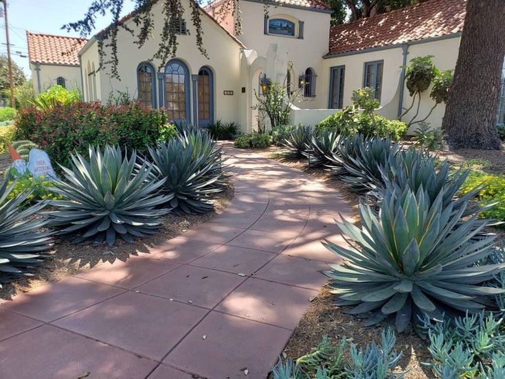 cay-xanh-ngoai-that-nha-moi-1