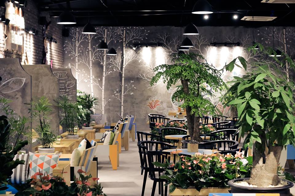 Cây cảnh decor quán cafe đẹp 