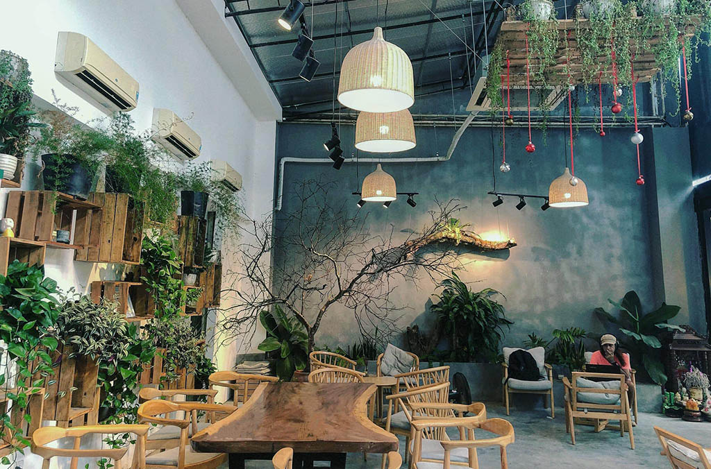 3 nguyên tắc vàng khi dùng cây cảnh decor quán cafe đẹp