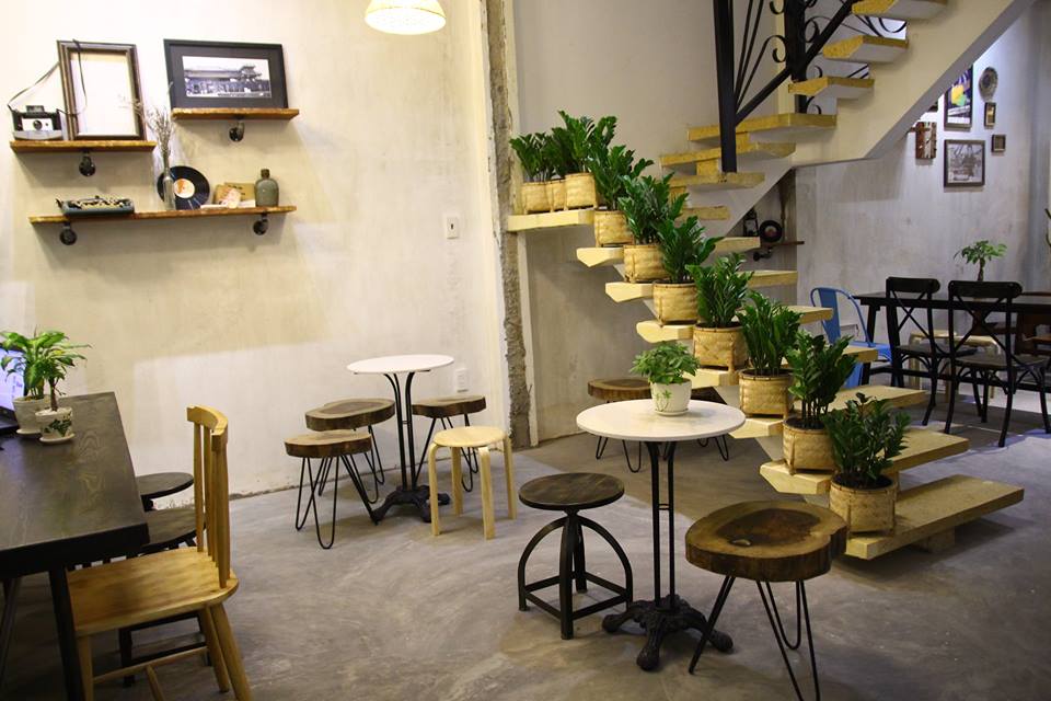 Mua cây cảnh decor quán cafe ở đâu đẹp