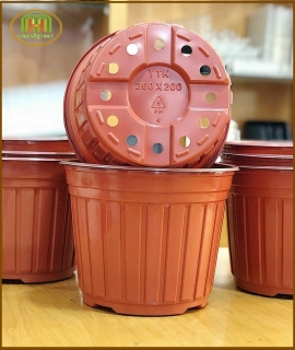 CHẬU NHỰA TRỒNG THỌ TẾT