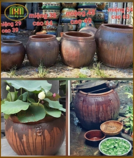 LU TRỒNG SEN